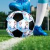 Elsa Theme Size 5 Soccer Ball, Suitable for Both Indoor and Outdoor Matches, a Gift Suitable for Everyone.