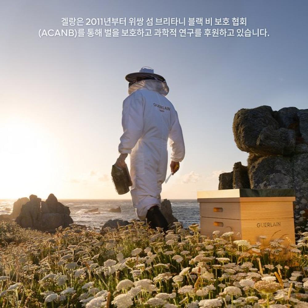 Guerlain Honey Treatment Night Cream 50ml Abeille Royale