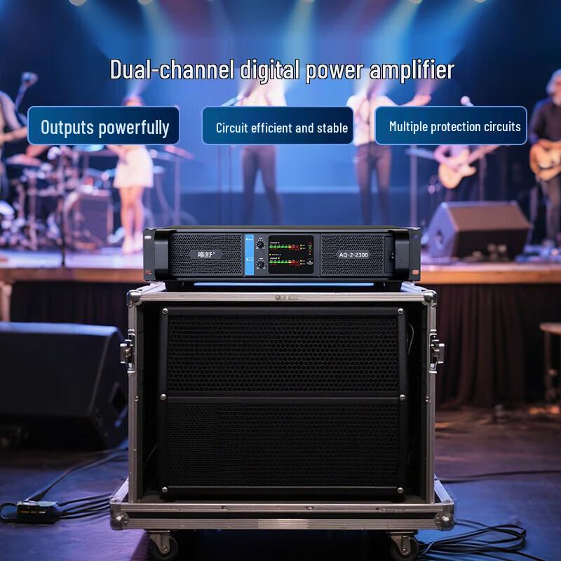 Weishu AQ-2-2300 Professional Conference Audio System (CN Version)