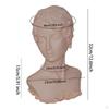 Jewelry Display Mannequin Earring Stand Multipurpose Earrings Rack Jewellery Holder for