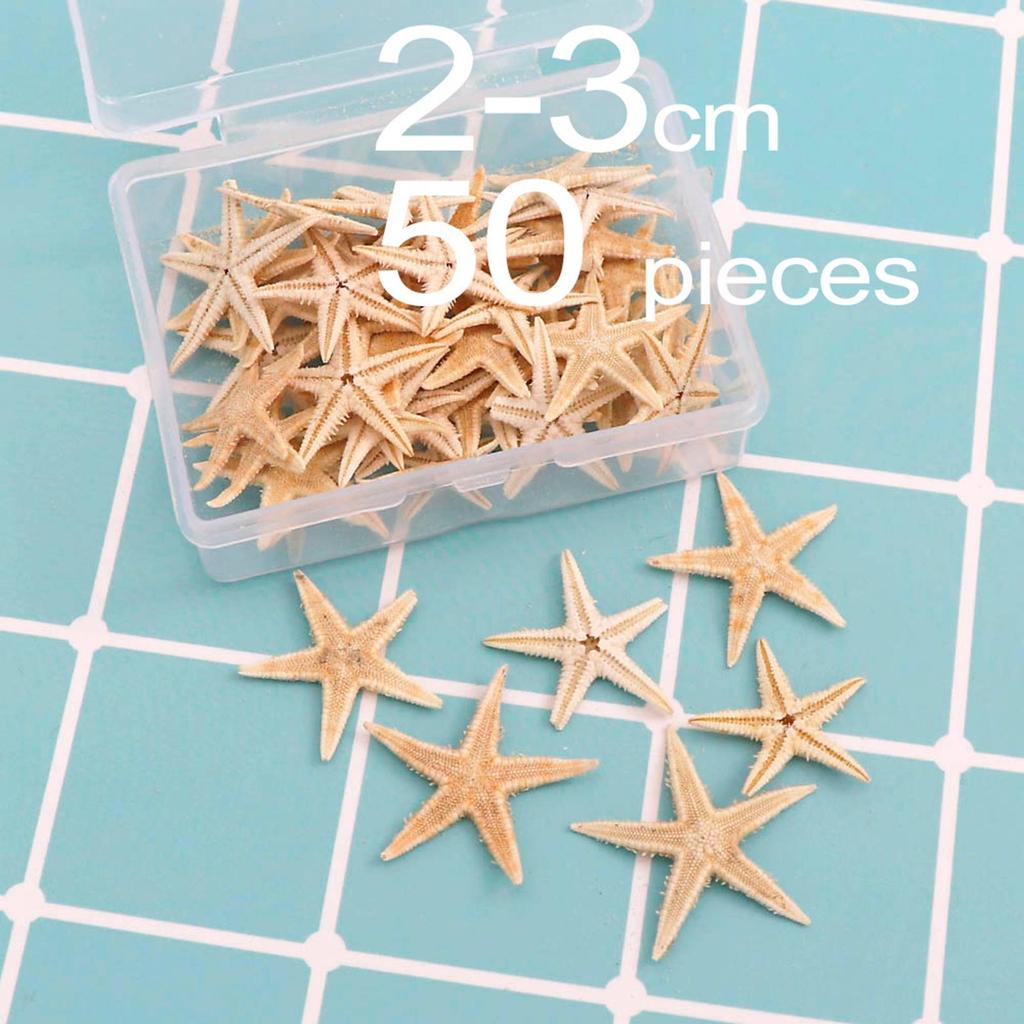 Mini Natural Flat Tan Starfish Seashells Beach Wedding Decor Craft Supplies