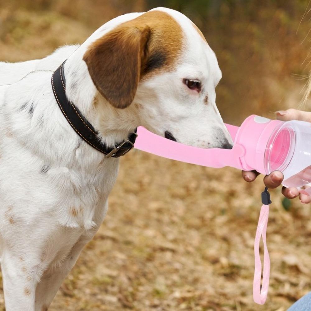 2 In 1 Dog Water Bottle Portable Cat Drinking Bowl Foldable Pet Water Dispenser  Travel