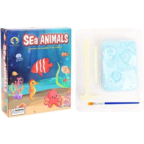 

Changle морские окаменелости игрушки для археологических раскопок