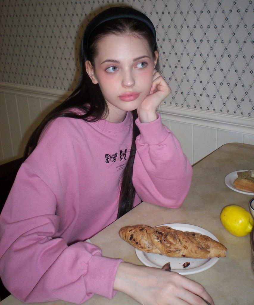 LETTER FROM MOON Triple Butterfly Embroidery Sweatshirt (Deep Pink)
