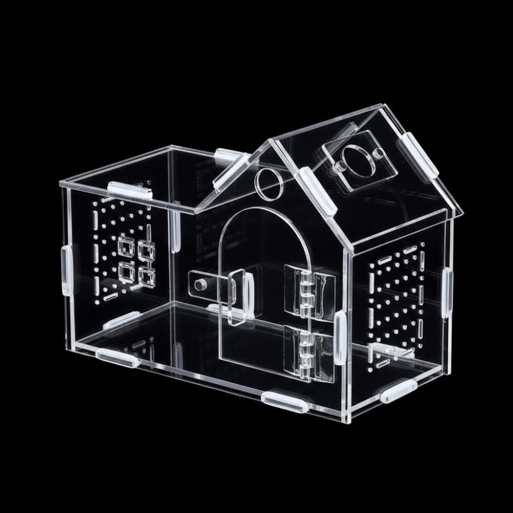 

Magnetic Reptile Feeding Box Transparent Spider Observation Box For Gecko Turtle Lizards прозорий