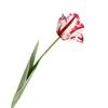 Kunstig tulipan realistisk falsk blomst med blader ingen vedlikehold falsk tulipan for hjemmedekor bryllupsfest bordpynt