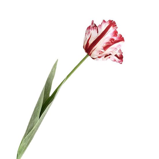 Kunstig tulipan realistisk falsk blomst med blader ingen vedlikehold falsk tulipan for hjemmedekor bryllupsfest bordpynt