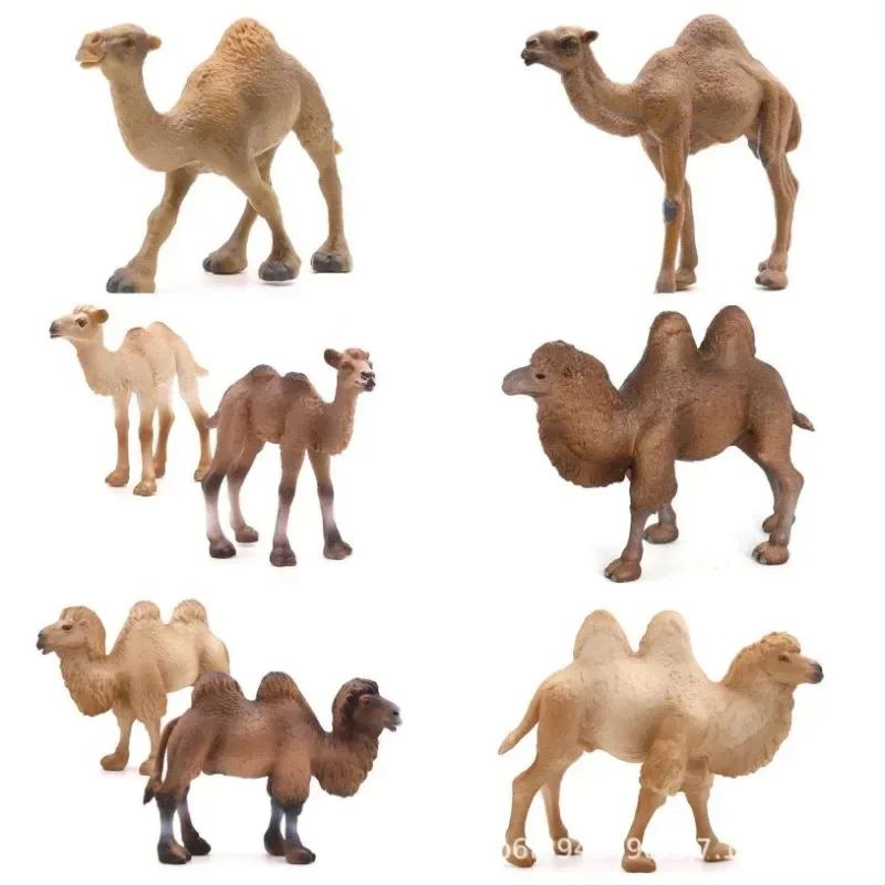 Realistic Camel Model Solid Dromedary Bactrian Static Toy Ornament Home Decor
