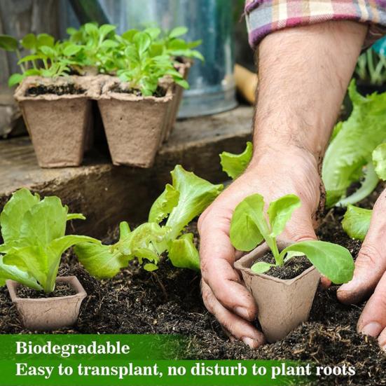 12-Cell Seedlings Tray Biodegradable Plant Pots Breathable Seeds Starter Tray with Tags And Tools for Flowers