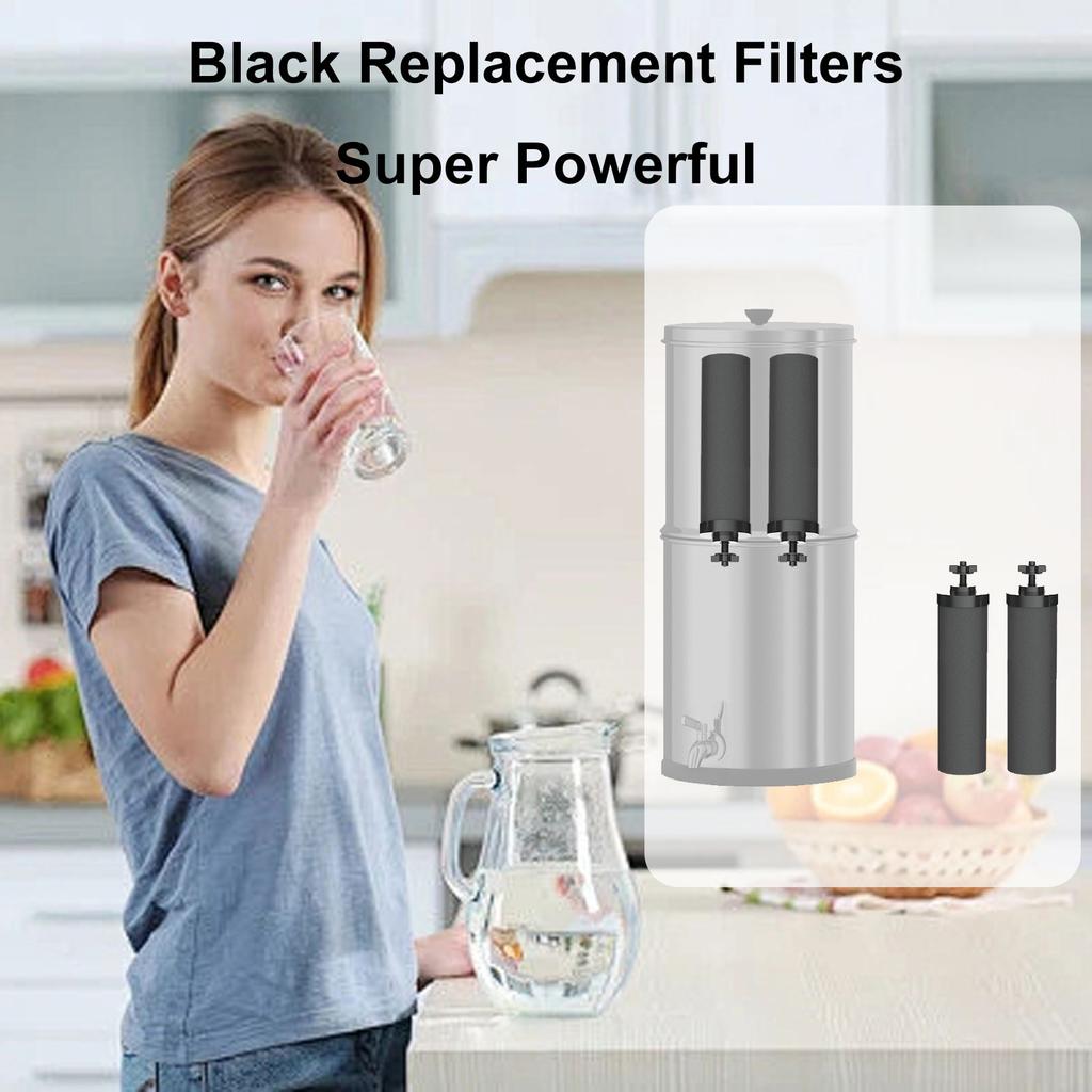 2er-Pack Wasserfilter-Ersatz Edelstahl Wasserreiniger Aktivkohleblock Effiziente Filtration Abnehmbar für Reisen