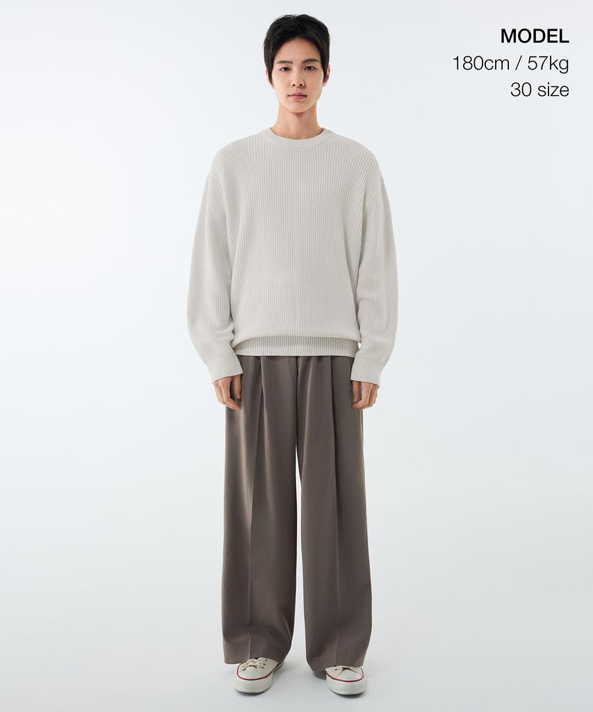 MUSINSA STANDARD Super Wide Hidden Banding Slacks [Dusty Beige]