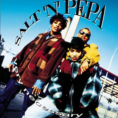 CD SALTNPEPA  Very Necessary 4228283922 Next Plateau Re 1993 Canada Rap  HipHopRB Used
