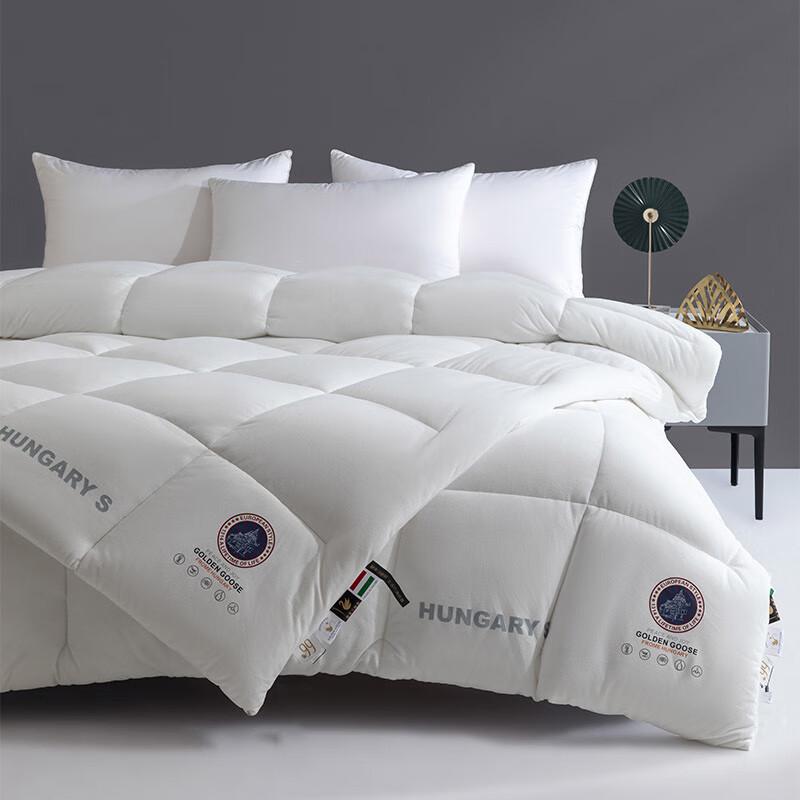 

Oudian Mengna Iceland Cashmere Winter Quilt