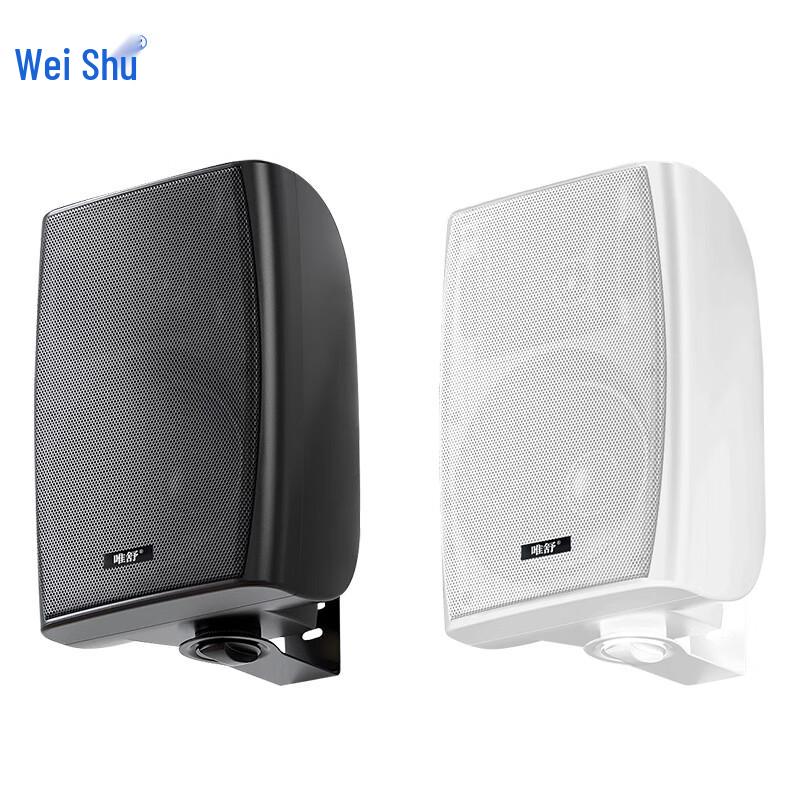 Weishu Professional Audio Loudspeakers (CN Version)