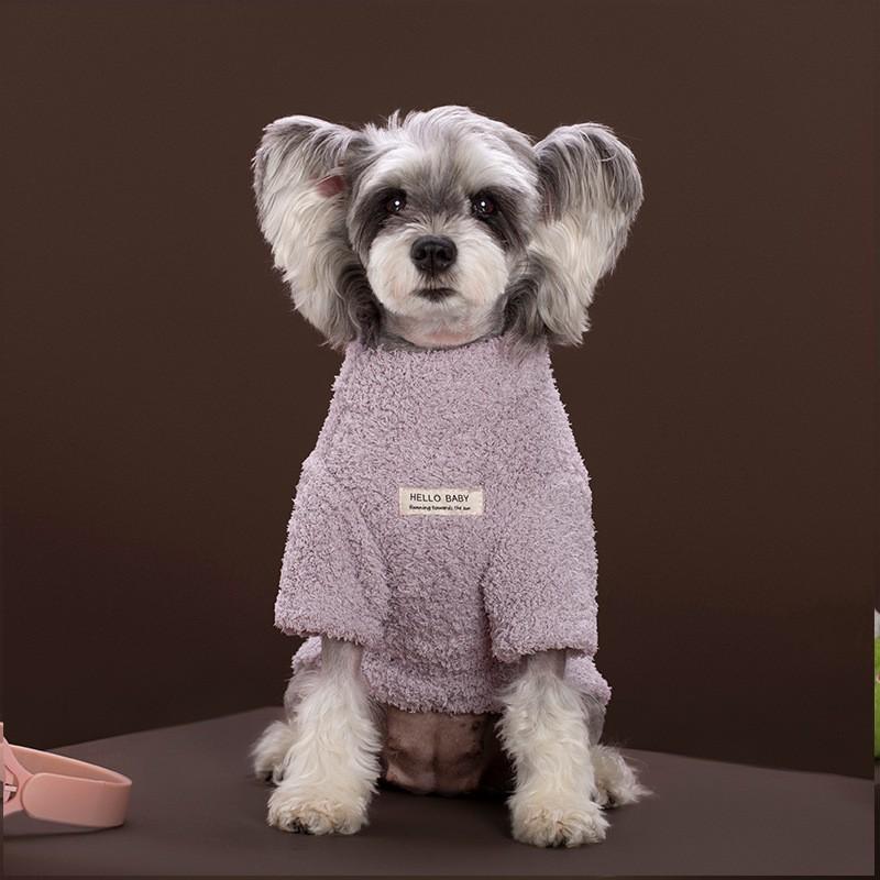 Pet Dog Winter Warm Two-Legged Coat Small Medium Large Breeds Teddy Cat Costume Seasonal Outfit