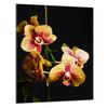 SZKLANA DESKA DO KROJENIA 40x52 Orchidea