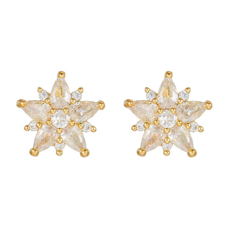 1Pair Star Shape Ear Clips Secure Clasp For Freeclip 1/2 Models Featuring Easy Attachment Headphone Ear Clip