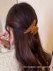 2024 Spring/Summer High-End Coffee Acetate French Shark Hair Clip for Women