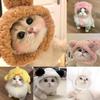 Funny Cat Cap Bear Plush Head Cover Cute Cat Dog Woven Warm Headdress Pet Hats Kitten Puppy Cosplay Costume Accessories