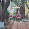 Trapeze Swing Bar Trapeze Climbing Bar Assembly Ergonomic Sensory Rings Game for Children Kids Adults Indoor Playtime Backyard