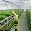 High Pressure Brass Spray Nozzle Brass Atomizing Tip Pesticide Sprayer Nozzle  Greenhouse Watering