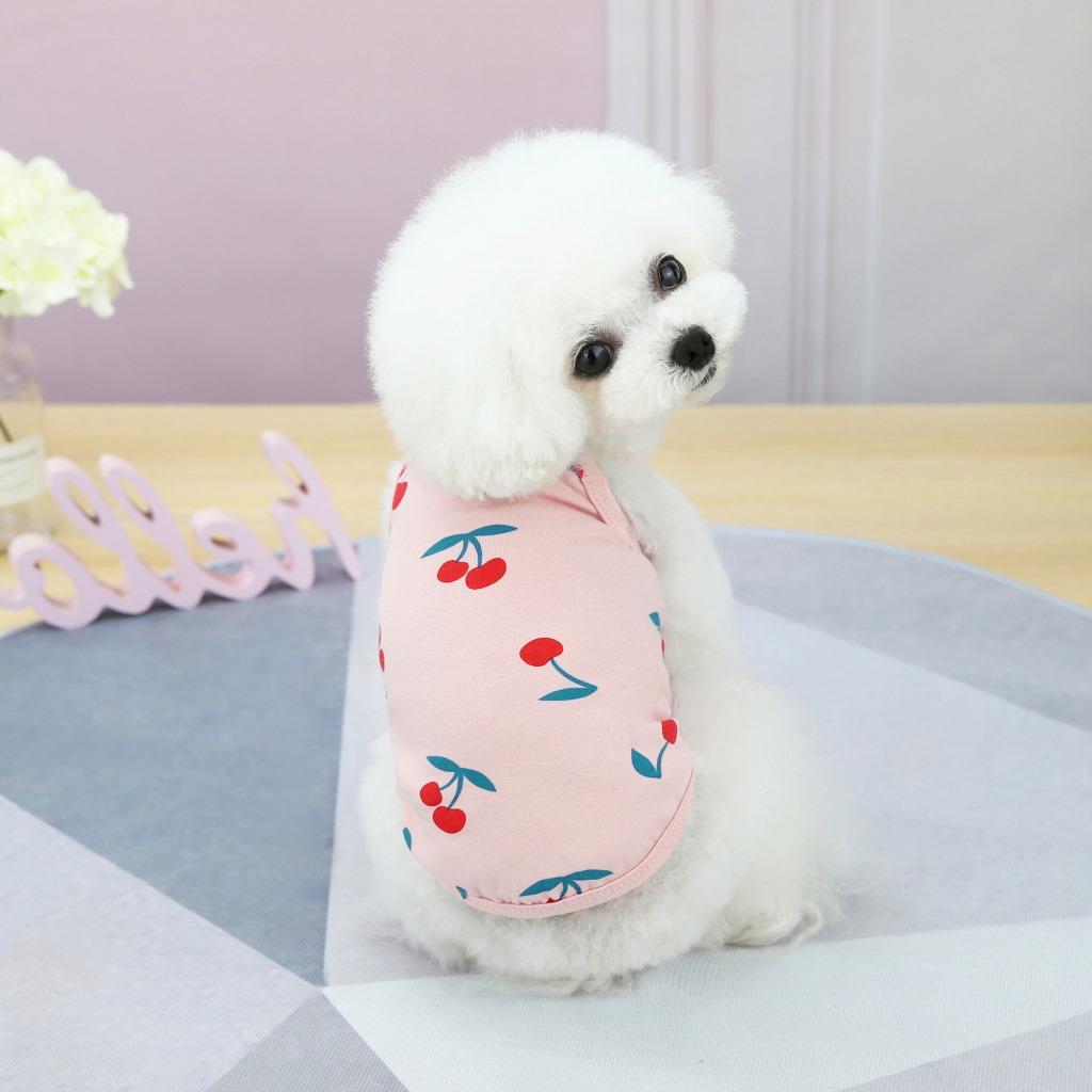 Pet Dog Clothes Spring and Summer Thin Teddy Bichon Pomeranian Yorkshire Terrier Small Dog Cat Vest Cherry Suspender