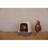 Bird House Kerbl Plastic