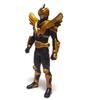 RHS 47 Kamen Rider Odin