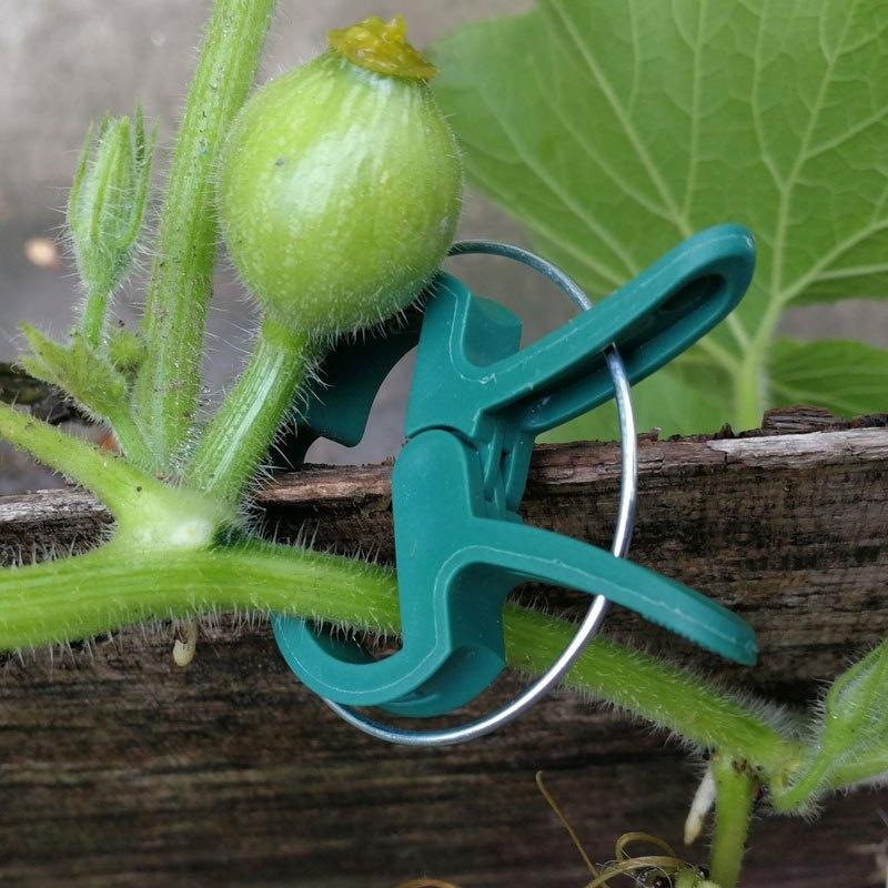 20pcs Adjustable Plant Clips - Reusable Garden Support for Flowers, Vines, Vegetables & Tomatoes - Essential Gardening Tools