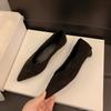 Vintage Puntige Neus Slip-On Dames Kantoor Pumps Elegante Dikke Hakken Feestjurk Schoenen 2026 Nieuwe Lente Herfst Forenzen Schoenen