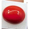 AAA+ Natural Red Coral 32.25 CT Oval Cabochon Cut Italian Loose Gemstone