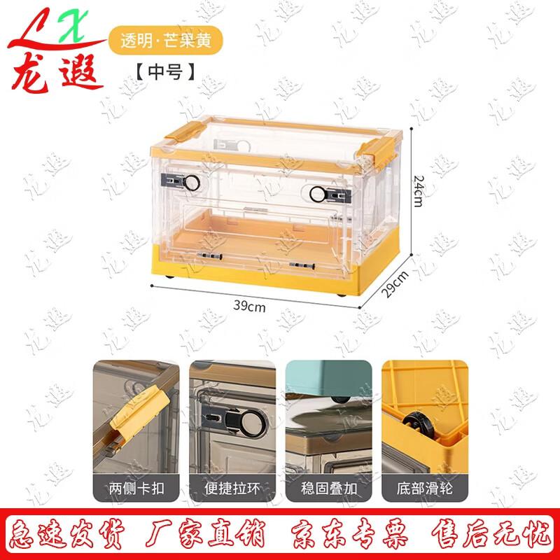 Transparent Foldable Storage Box