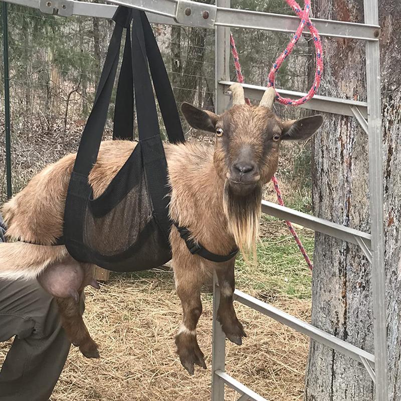 Sling pour veau pour peser les animaux Balance suspendue Sling avec sangles réglables Réutilisable pour veaux Agneaux Chèvres Bébés Alpagas