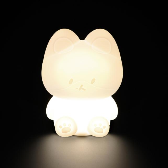 EXO ベッキョン TEOLAGI MOOD LAMP Buy Pre-order EXO BAEKHYUN TEOLAEGI Mood Lamp at affordable