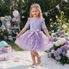 Girls Butterfly Tulle Dress, Art Print,Cute Princess Party Dress with Bow, Short Sleeve Summer Dress for Little Girls