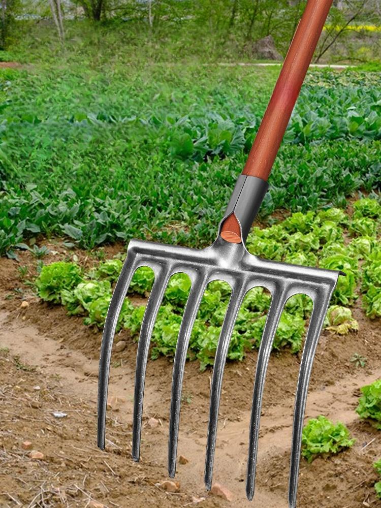 Forca da Lavoro del Terreno Attrezzo Agricolo a Quattro Denti Pala a Cinque Zappe per Giardino di Patate e Patate Dolci Attrezzo Manuale Acciaio Robusto Du