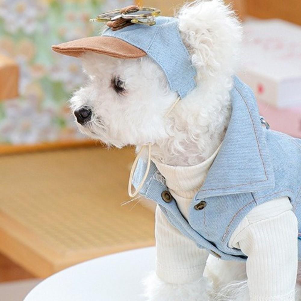 Denim Cap Dog Visor Hats Korean Style Dog Sports Hat Pet Sun Protection Hats  Photo Props
