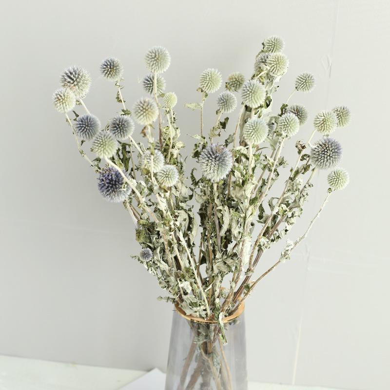Blue Planet Dried Blue Thistle Flower Bouquet for Wedding, Arrangement, Home or Living Room Decor