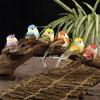 6Pcs Artificial Birds Fake Foam Animal Simulation Feather Birds Models DIY Wedding Home Garden Ornament Decoration Tree Decor