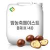 Chestnut Concentrate Paste 40 Brix 20 kg 1 pcs
