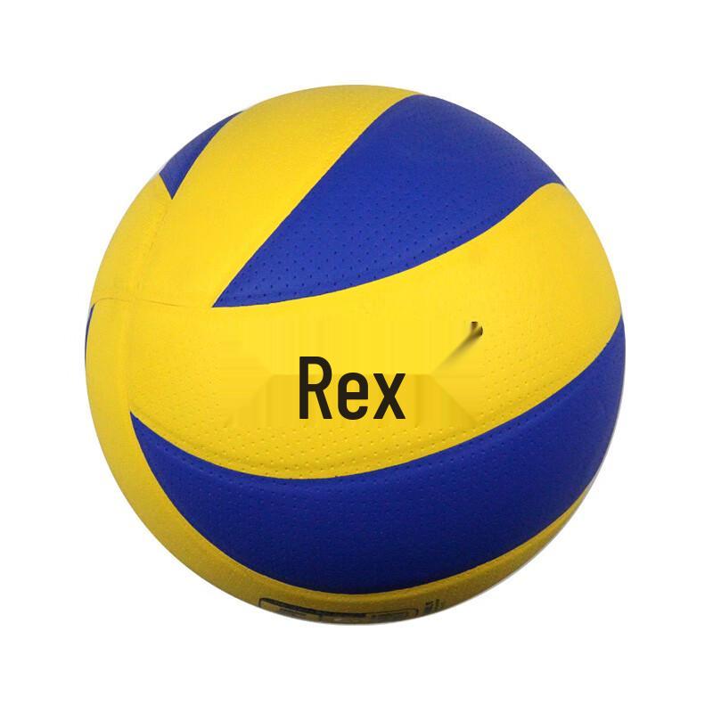 Rex LKS1166 Indoor Training Volleyball