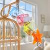 Hanging Design Bird Forage Box Multilayer Creative Parrot Feeder Creative Foraging Toy  For Parrots