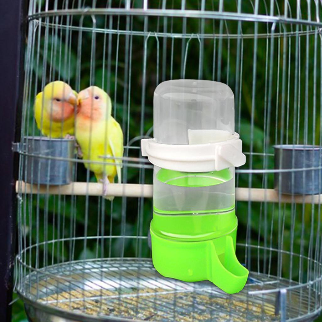 Automatic Bird Feeder, for Birds, Water Fountain, Parakeet