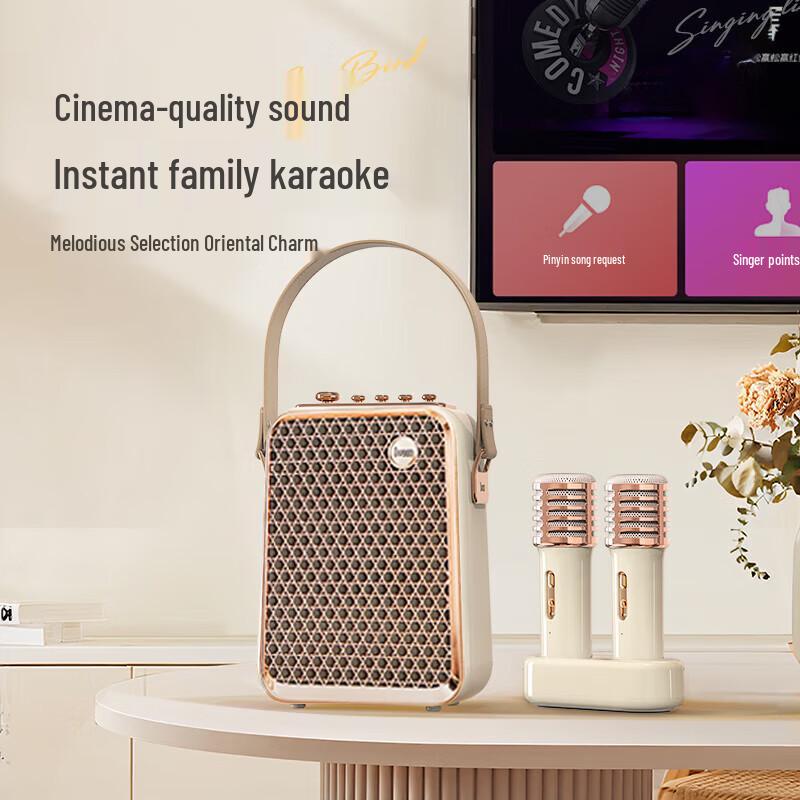 Divoom Qingluan Doppio Microfono Wireless Altoparlante KTV Spina CN (adattatore incluso) (Versione NC)