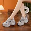 European Station Internet Celebrity Dad Shoes Women 2025 Summer New Korean Version of Fashion Mesh Versatile Thick Sole Heightening Women's Shoes