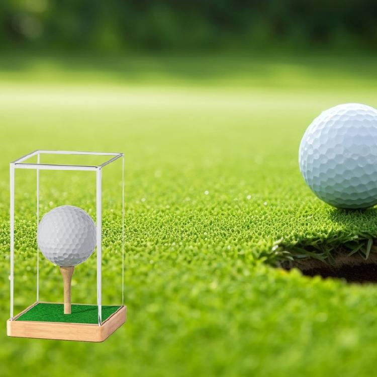 Golf Ball Display Case Storage Box Golf Ball Collector Display Organizer Signature Golf Ball Storage Container