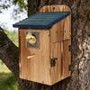 Durable Wooden Bird Shelter For Outdoor Use Featuring Viewing Panel And Safety Feature