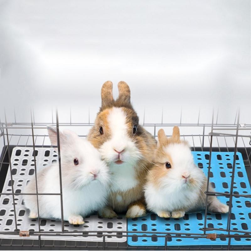 12lots Antislip Safety Mats Rabbit Foot Pad for Pet Like Rabbits to Prevent Accidents During Playtimes Activity