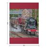 6233 Duchess of Sutherland Throw Blanket Shaggy Hair Loose Flannel Blankets