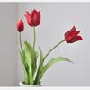Decorațiuni pentru casă – Flori decorative şi coroane de flori